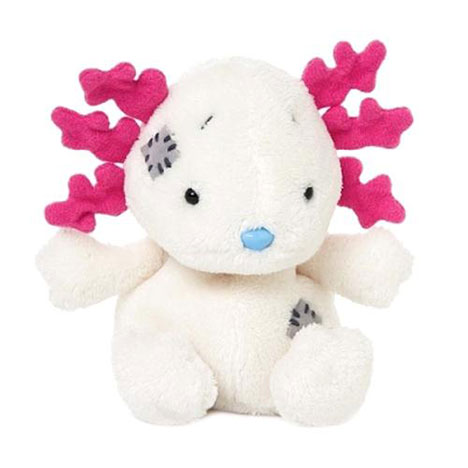 4" My Blue Nose Friend Eduardo the Axolotl £5.00